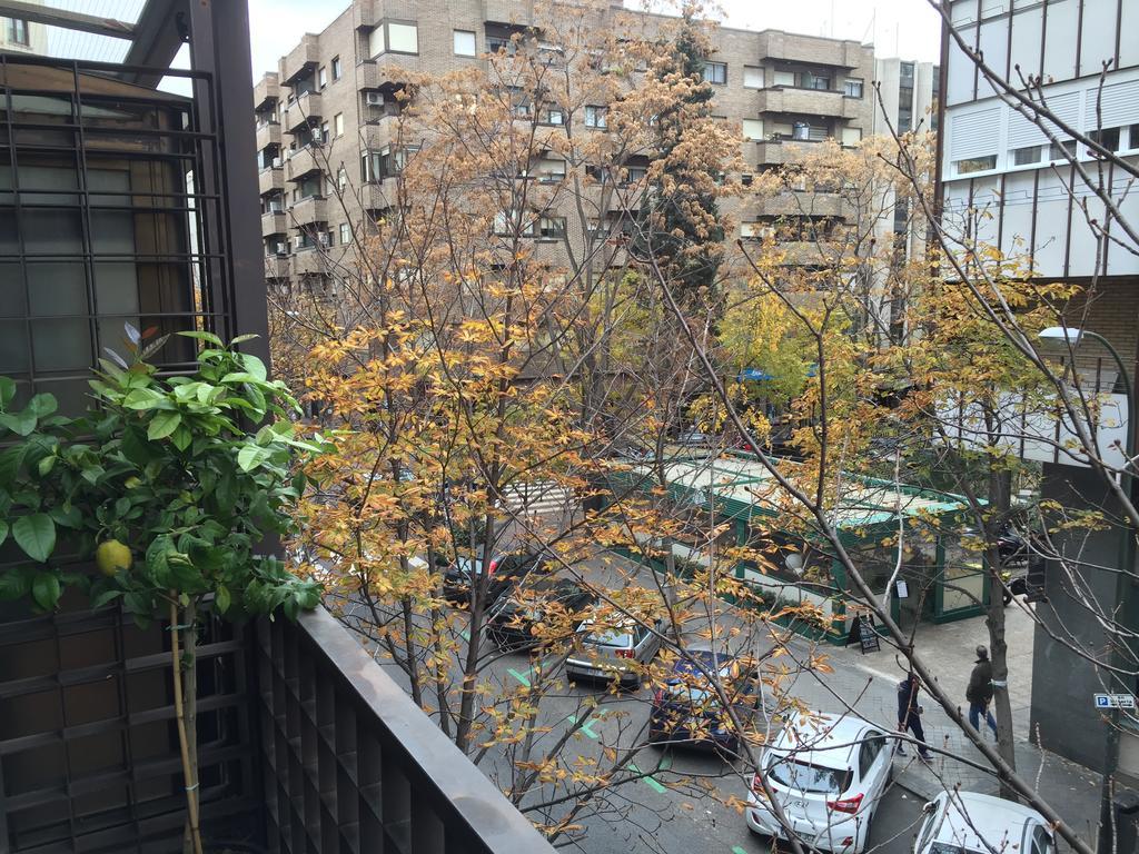 Terraza De Salamanca - Madrid, Madrid